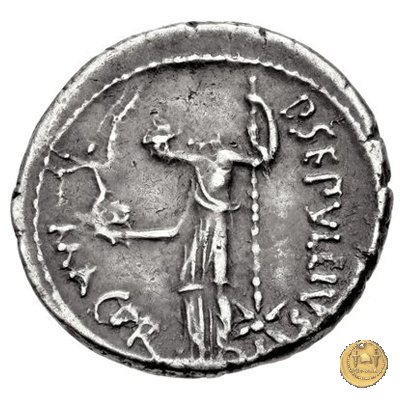 480/14 - denario C. Iulius Caesar / P. Sepullius Macer 44 BC (Roma)