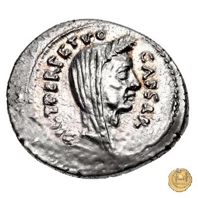 480/14 - denario C. Iulius Caesar / P. Sepullius Macer 44 BC (Roma)