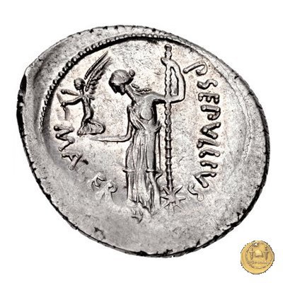 480/14 - denario C. Iulius Caesar / P. Sepullius Macer 44 BC (Roma)