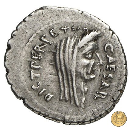 480/14 - denario C. Iulius Caesar / P. Sepullius Macer 44 BC (Roma)