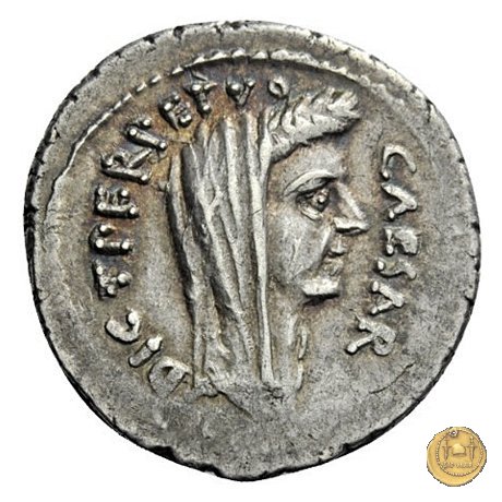 480/14 - denario C. Iulius Caesar / P. Sepullius Macer 44 BC (Roma)