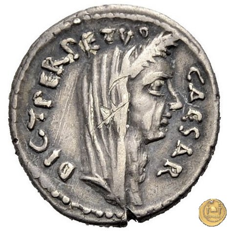 480/14 - denario C. Iulius Caesar / P. Sepullius Macer 44 BC (Roma)