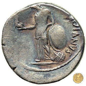 480/16 - denario C. Iulius Caesar / C. Cossutius Maridianus 44 BC (Roma)