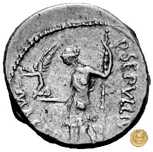 480/18 - denario C. Iulius Caesar / P. Sepullius Macer 44 BC (Roma)