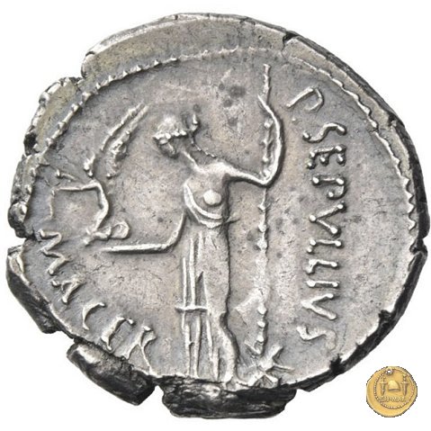 480/18 - denario C. Iulius Caesar / P. Sepullius Macer 44 BC (Roma)