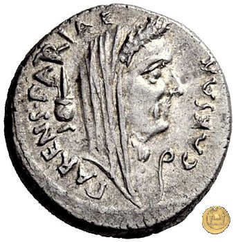 480/19 - denario C. Iulius Caesar / C. Cossutius Maridianus 44 BC (Roma)