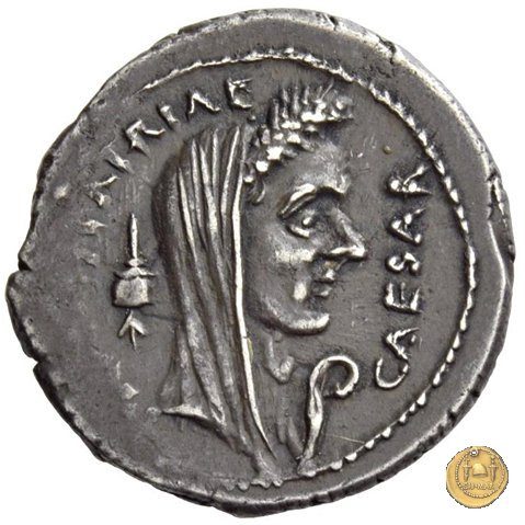 480/19 - denario C. Iulius Caesar / C. Cossutius Maridianus 44 BC (Roma)