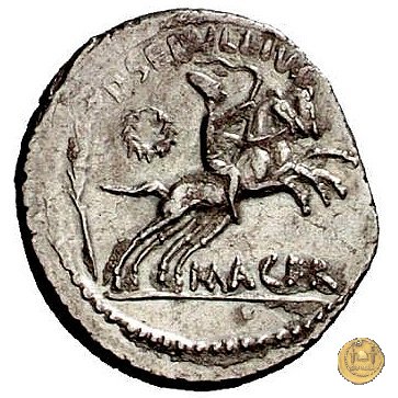 480/21 - denario C. Iulius Caesar / P. Sepullius Macer 44 BC (Roma)