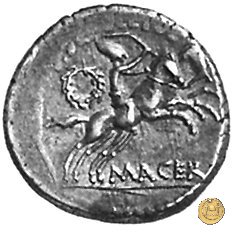 480/21 - denario C. Iulius Caesar / P. Sepullius Macer 44 BC (Roma)