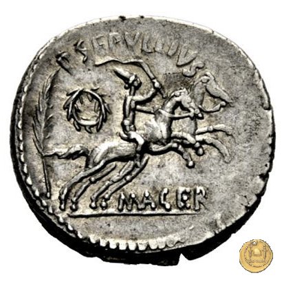 480/21 - denario C. Iulius Caesar / P. Sepullius Macer 44 BC (Roma)