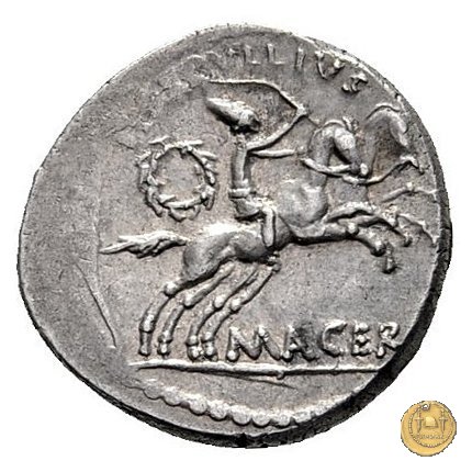 480/21 - denario C. Iulius Caesar / P. Sepullius Macer 44 BC (Roma)