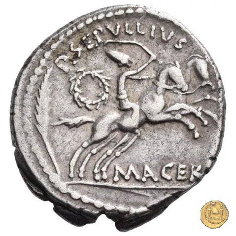 480/21 - denario C. Iulius Caesar / P. Sepullius Macer 44 BC (Roma)