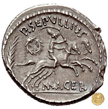 480/22 - denario M. Antonius / P. Sepullius Macer 44 BC (Roma)