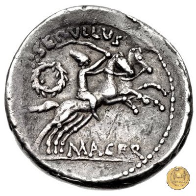 480/22 - denario M. Antonius / P. Sepullius Macer 44 BC (Roma)