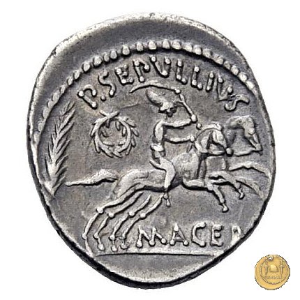 480/22 - denario M. Antonius / P. Sepullius Macer 44 a.C. (Roma)