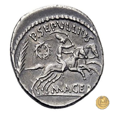 480/22 - denario M. Antonius / P. Sepullius Macer 44 BC (Roma)