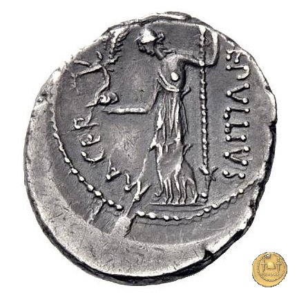 480/5 - denario C. Iulius Caesar / P. Sepullius Macer 44 BC (Roma)