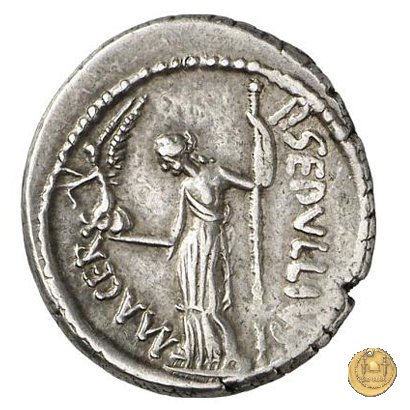 480/5 - denario C. Iulius Caesar / P. Sepullius Macer 44 BC (Roma)