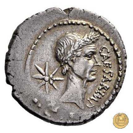 480/5 - denario C. Iulius Caesar / P. Sepullius Macer 44 BC (Roma)