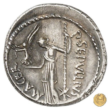 480/5 - denario C. Iulius Caesar / P. Sepullius Macer 44 BC (Roma)