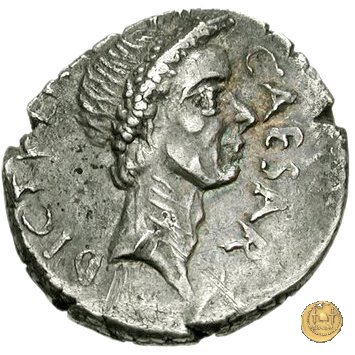 480/7 - denario C. Iulius Caesar / L. Aemilius Buca 44 BC (Roma)