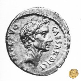 480/7 - denario C. Iulius Caesar / L. Aemilius Buca 44 BC (Roma)