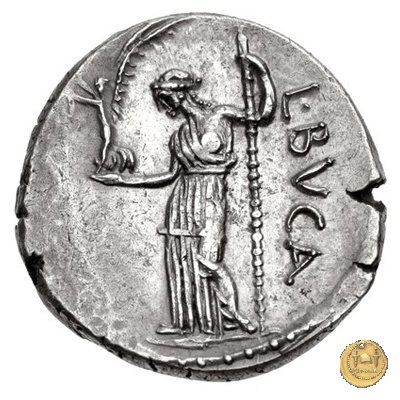 480/8 - denario C. Iulius Caesar / L. Aemilius Buca 44 BC (Roma)