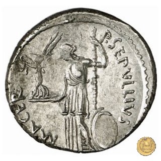 480/9 - denario C. Iulius Caesar / P. Sepullius Macer 44 BC (Roma)