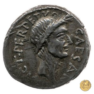 480/9 - denario C. Iulius Caesar / P. Sepullius Macer 44 BC (Roma)