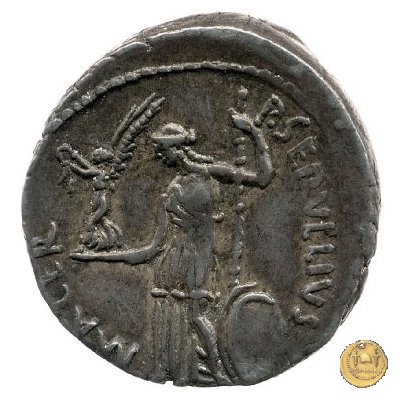 480/9 - denario C. Iulius Caesar / P. Sepullius Macer 44 BC (Roma)