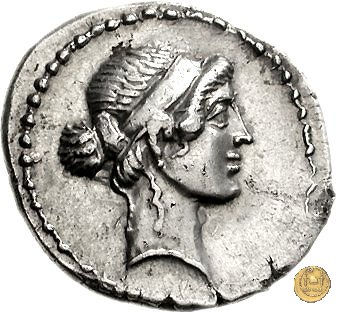 482/1 - denario C. Iulius Caesar 44 BC