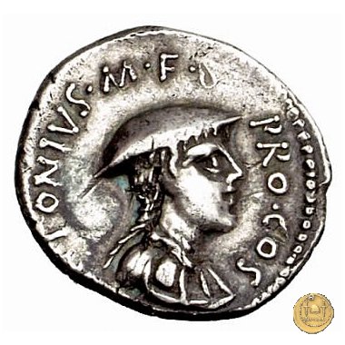 484/1 - denario C. Antonius 43 BC (Itinerante con C. Antonius)