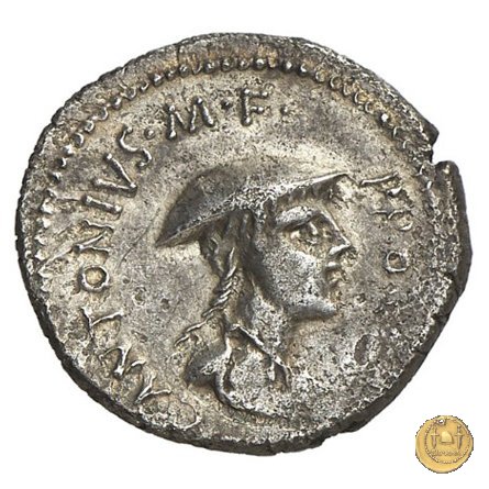 484/1 - denario C. Antonius 43 BC (Itinerante con C. Antonius)