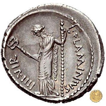 485/1 - denario L. Flaminius Chilo 43 BC (Roma)