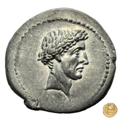 485/1 - denario L. Flaminius Chilo 43 BC (Roma)