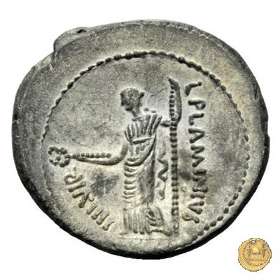 485/1 - denario L. Flaminius Chilo 43 BC (Roma)