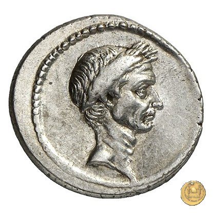 485/1 - denario L. Flaminius Chilo 43 BC (Roma)