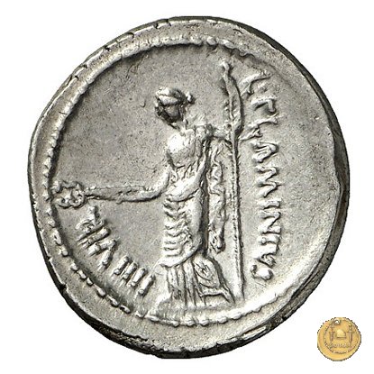 485/1 - denario L. Flaminius Chilo 43 BC (Roma)