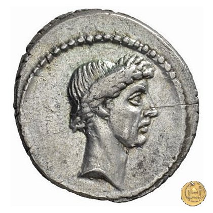 485/1 - denario L. Flaminius Chilo 43 BC (Roma)