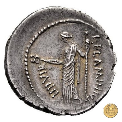 485/1 - denario L. Flaminius Chilo 43 BC (Roma)