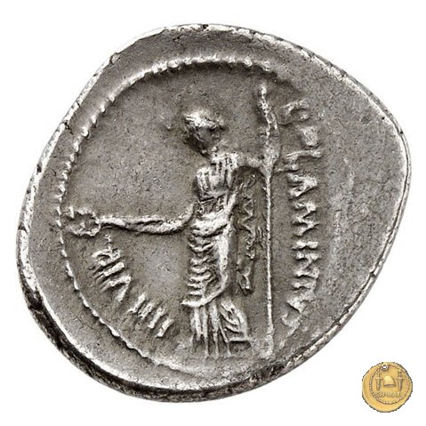 485/1 - denario L. Flaminius Chilo 43 BC (Roma)