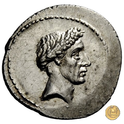 485/1 - denario L. Flaminius Chilo 43 BC (Roma)