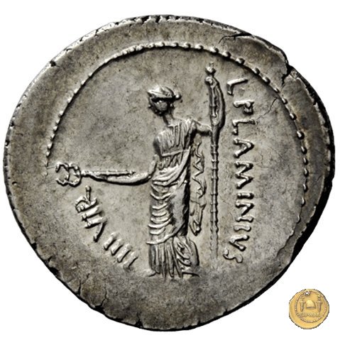 485/1 - denario L. Flaminius Chilo 43 BC (Roma)