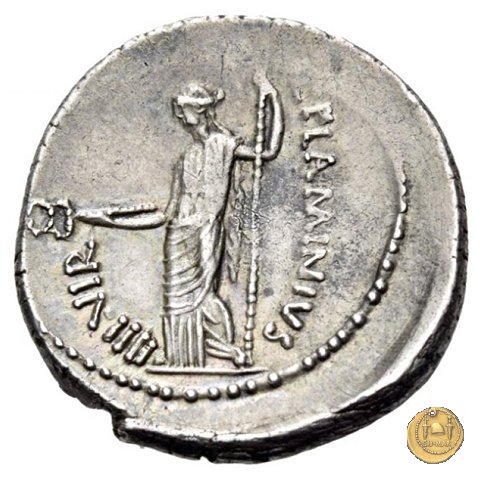 485/1 - denario L. Flaminius Chilo 43 BC (Roma)