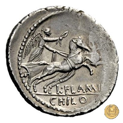 485/2 - denario L. Flaminius Chilo 43 BC (Roma)