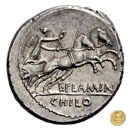 485/2 - denario L. Flaminius Chilo 43 BC (Roma)