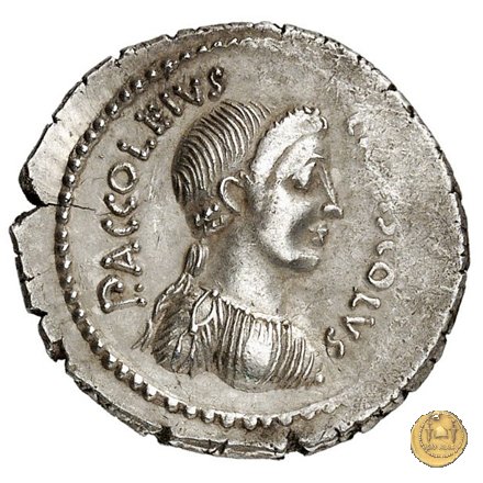 486/1 - denario P. Accoleius Lariscolus 43 BC (Roma)