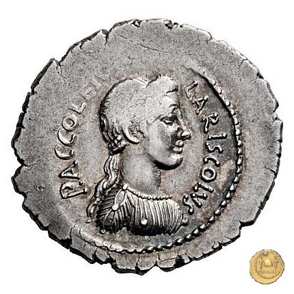 486/1 - denario P. Accoleius Lariscolus 43 BC (Roma)