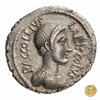 486/1 - denario P. Accoleius Lariscolus 43 BC (Roma)