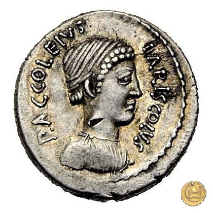 486/1 - denario P. Accoleius Lariscolus 43 BC (Roma)